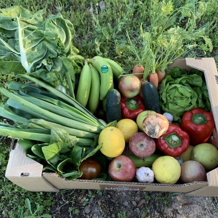 Seasonal Organic Fruit and Vegetable Basket 7.5 Kg approx.
