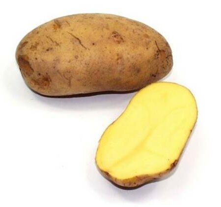 Sour White Potato 600gr ECO