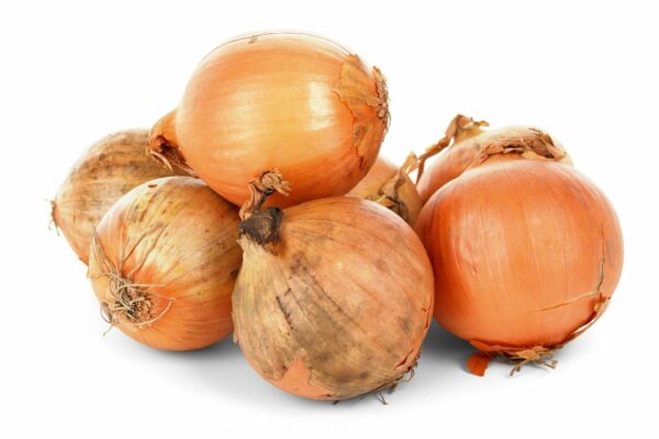 onion bulbs 84722 1920