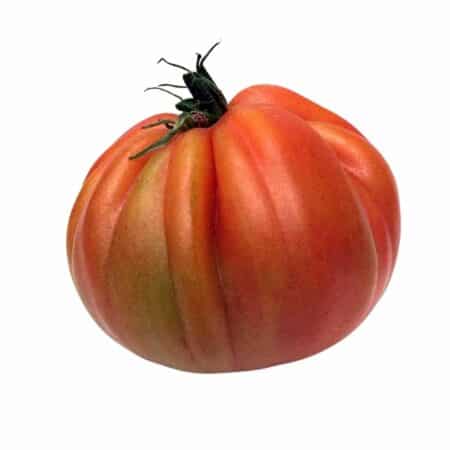 Tomate Cor de Bou (350gr) ECO
