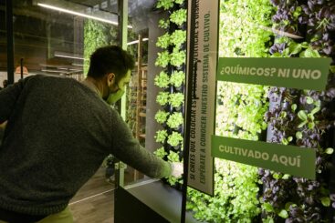 Participa en la Cosecha del Cultivo Vertical