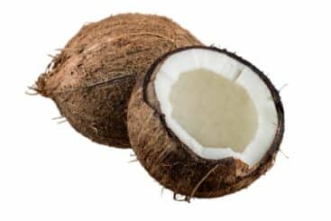 Coconut 367x245