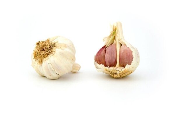 garlic 1808 640 1