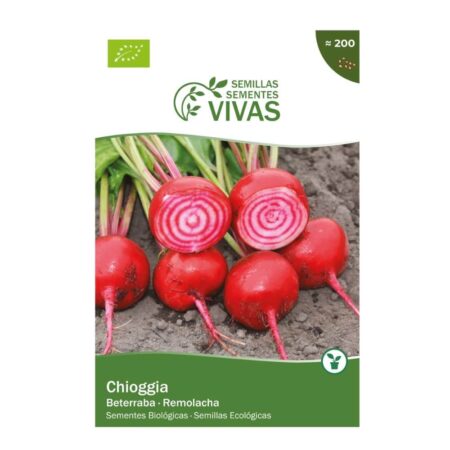 141216134 Llavors De Remolatxa Chioggia Sementes Vivas Eco