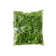 Fresh coriander 50gr ECO