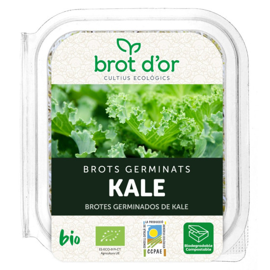 Choux choux 70gr Brot dOr ECO - Plantes aromatiques et germées