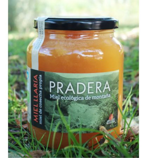 Miel la Pradera 979gr Llaria ECO - Miel y Polen