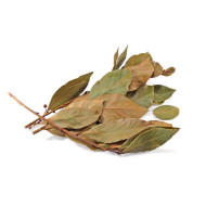 Laurel Bunch ECO. 70-80 gr. 