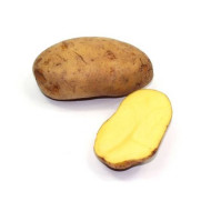 Agria Potato Organic 600gr approx
