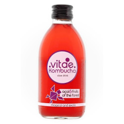 Kombucha Açai i Fruits 250ml Vitae ECO