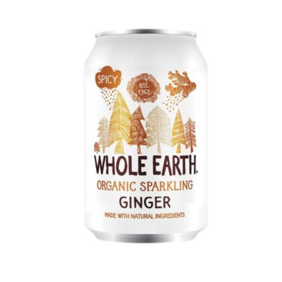 Boisson Gazeuse Pétillante au Gingembre 330ml Whole Earth ECO - Boissons rafraîchissantes