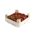 Organic Catalan strawberries Maresme bulk 500gr approx.