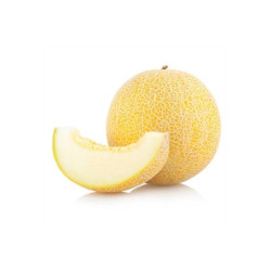 Tartinade de melon Galia biologique 800g environ.