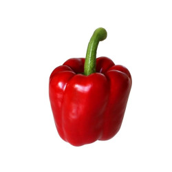 Pimiento rojo california 350gr aprox ECO