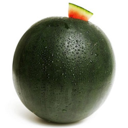 Síndria Fosca (2 kg aprox) ECO