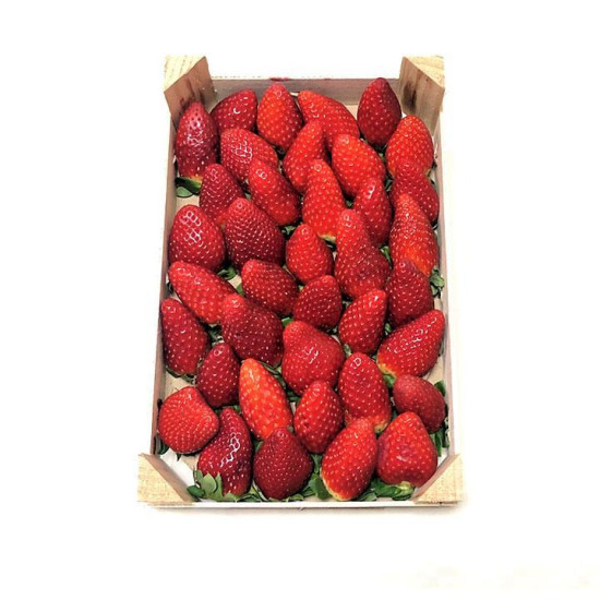 Fresón Bandeja 1kg ECO - Fruta