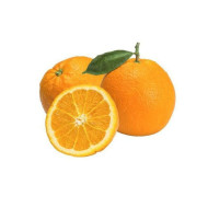 Organic Juicing Orange 600gr approx