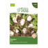 Gandra Turnip Seeds Sementes Vivas ECO