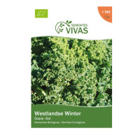 Graines de chou d’hiver Westlandse Graines vivantes ECO