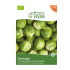 Groninger Brussels Sprout Seeds Sementes Vivas ECO