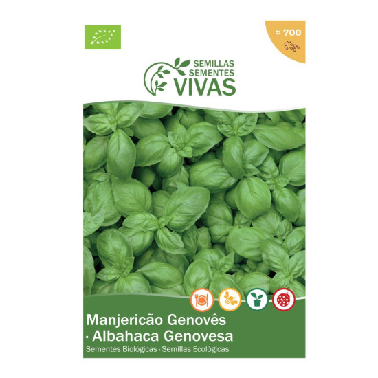Llavors de Alfàbrega Genovês Sementes Vivas ECO - Llavors