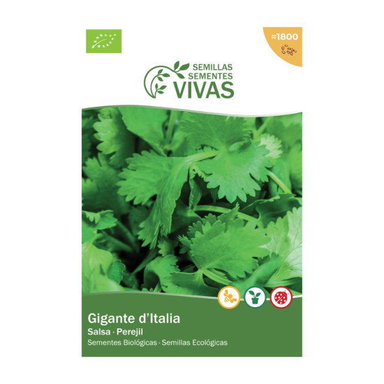Semillas de Julivert Gegant D ́itàlia Sementes Vivas ECO - Semillas