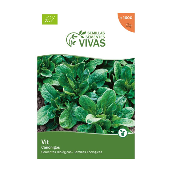 Graines de Canónigos Vit Sementes Vivas ECO - Graines