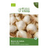 Graines d'oignon de branche de Lisbonne PT Sementes Vivas ECO