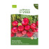 Cherry Belle Radish Seeds Sementes Vivas ECO