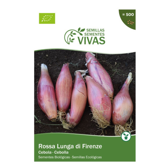 Llavors de Ceba Rossa Lunga di Firenze Sementes Vivas ECO - Llavors