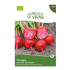 Chioggia Beetroot Seeds Sementes Vivas ECO