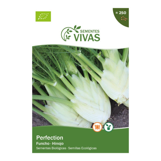 Giant Fennel Seeds Mammoth Perfection Sementes Vivas ECO - Seeds