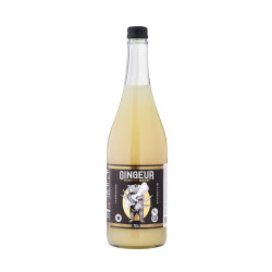 Bière de Gingembre Gingeur 330ml ECO