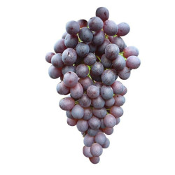 Raisin Noir Cardinal (200gr) ECO