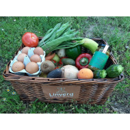 Cesta 7,5Kg de Fruta y Verdura Temporada ECO Aprox