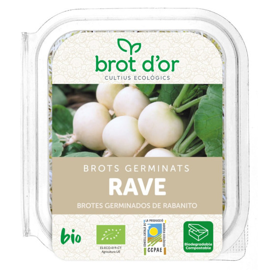 Brotes germinados Rave Daikon 70gr Brots d’Or ECO - Plantas Aromáticas y germinados