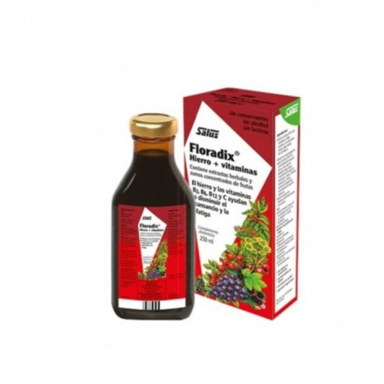 Floradix jarabe (hierro y vitaminas) 500ml ECO - Vitaminas y minerales