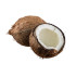 Coco ECO