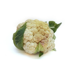 Coliflor Blanca Unid, 0,9kg aprox ECO