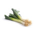 Poireau (450g) ECO