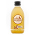 Kombucha apple and cinnamon 500ml Vitae ECO