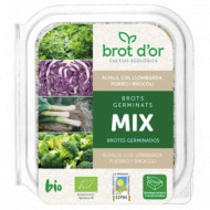 Mélange de Germes Luzerne Chou Brocoli et Poireaux 70gr Brote de Oro ECO