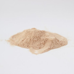 Lucuma powder Bulk 100gr approx ECO