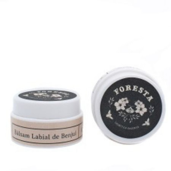 Baume à lèvres en crème - benjoin 8gr Foresta - Soins Personnels