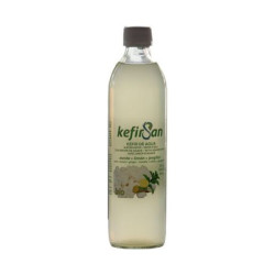 Kefirsan menta y jengibre 500ml Biosan ECO