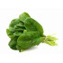 Bulk spinach 400 - 500gr Approx ECO