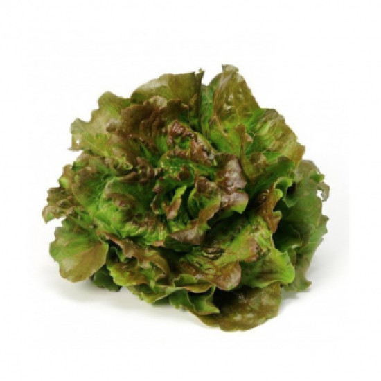 Enciam Maravella Gran ECO. 400 gr. - Verdures