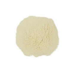 Onion powder in bulk (80gr) ECO