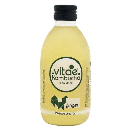 Kombucha Ginger 500ml Vitae ECO - Refrescos