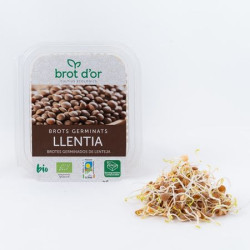 Brots germinats de llentia 50gr BrotD'or ECO